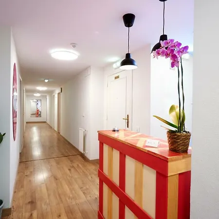 Life Magenta 3*