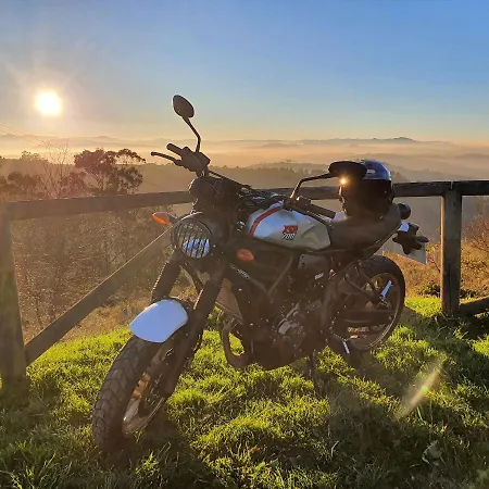 Life Magenta 3* Gijón