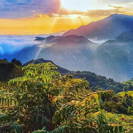 Life Magenta Hotel Gijón