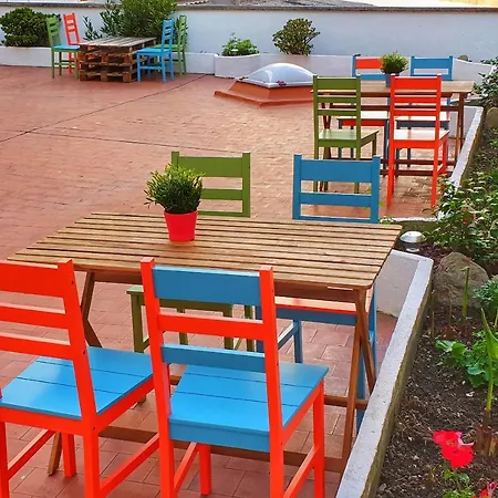 Life Magenta Gijon